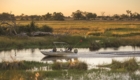 safari photo Botswana